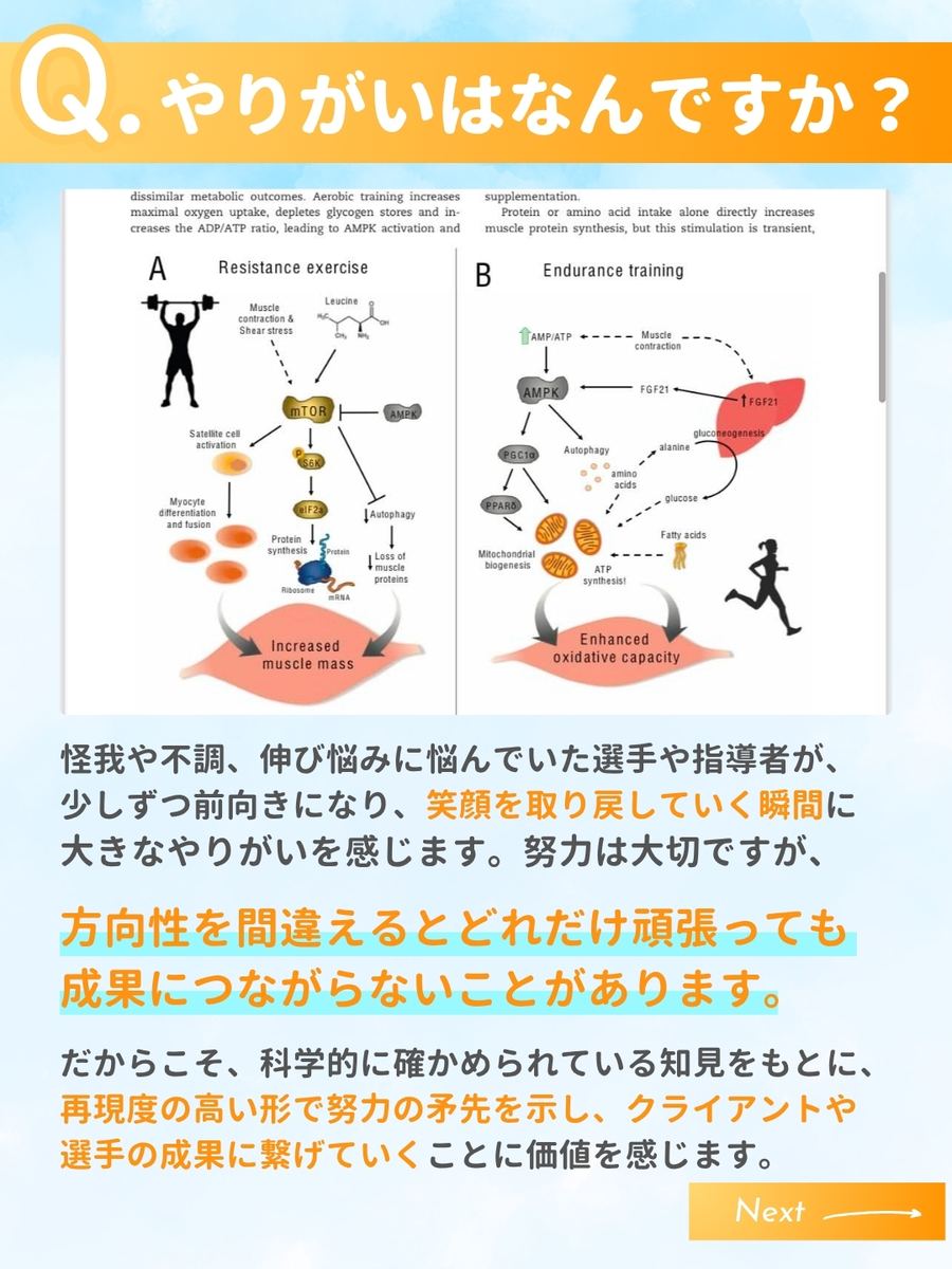 職業図鑑 No.47 投稿4